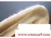 small295ce71efb1960c4747bfe9be5b4a67e.jpg